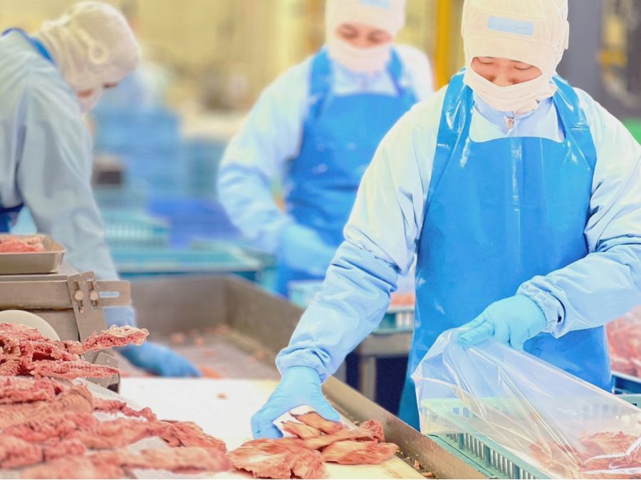 トンネルフリーザー