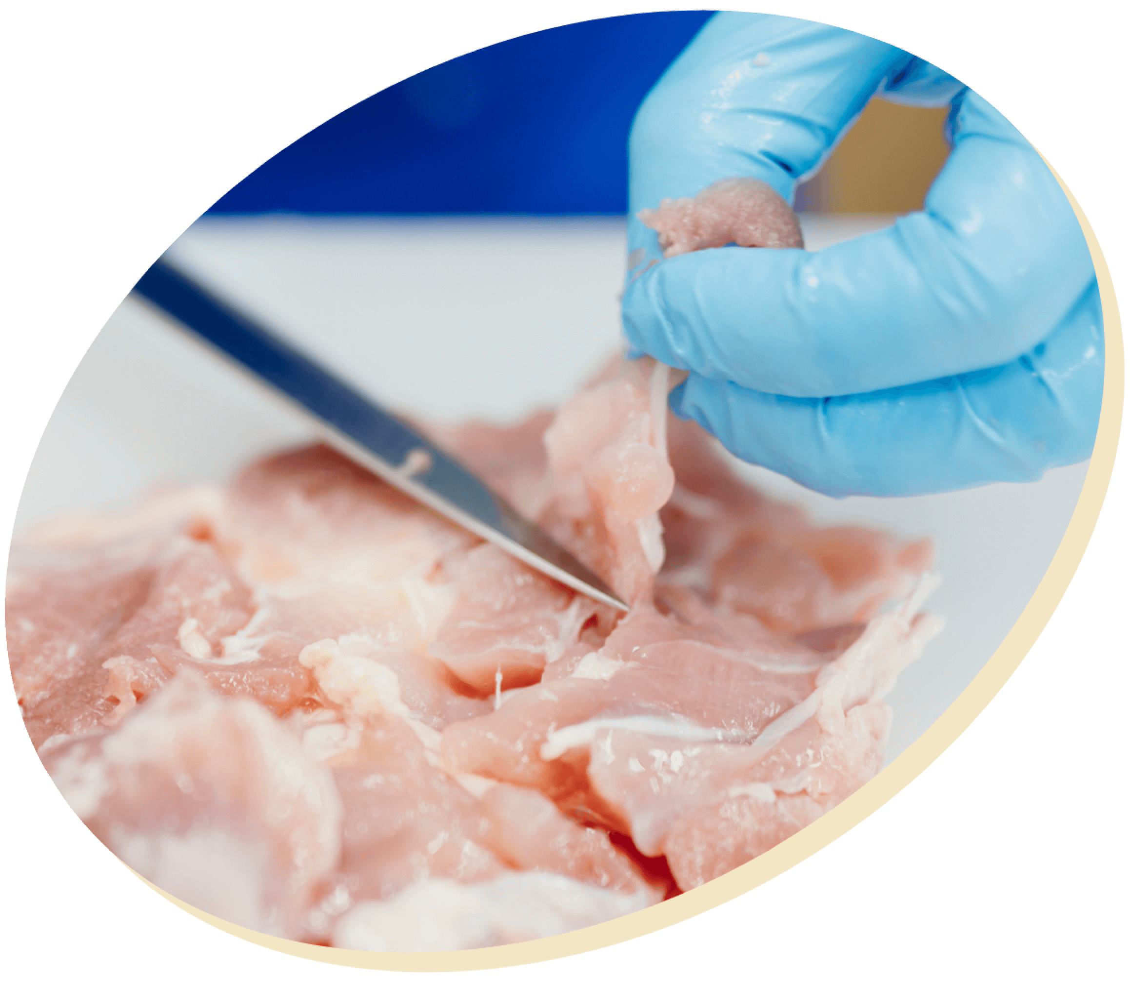 加工・カット技術